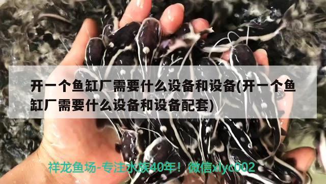 開一個魚缸廠需要什么設備和設備(開一個魚缸廠需要什么設備和設備配套)