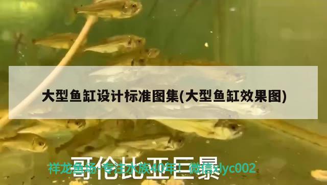 大型魚缸設計標準圖集(大型魚缸效果圖)