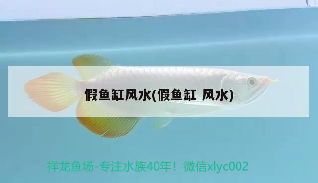 假魚缸風水(假魚缸風水) 魚缸風水