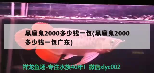 黑魔鬼2000多少錢(qián)一包(黑魔鬼2000多少錢(qián)一包廣東) 觀賞魚(yú)