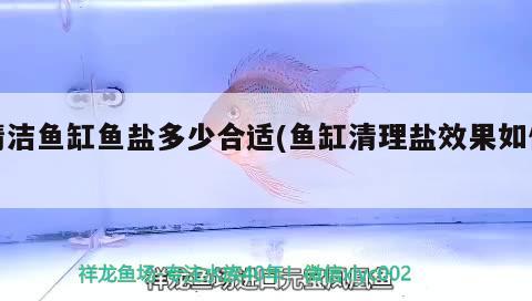 清潔魚缸魚鹽多少合適(魚缸清理鹽效果如何)