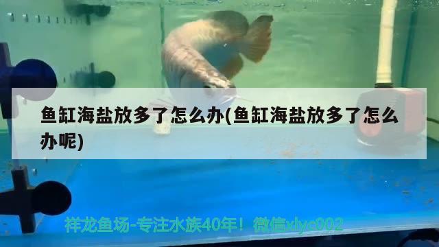 魚缸海鹽放多了怎么辦(魚缸海鹽放多了怎么辦呢)