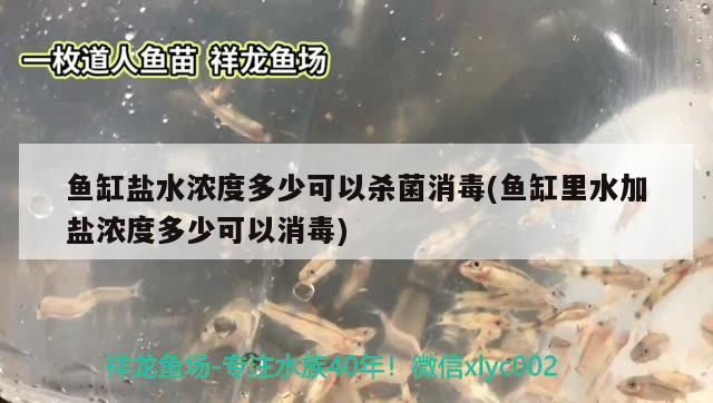 魚缸鹽水濃度多少可以殺菌消毒(魚缸里水加鹽濃度多少可以消毒) 祥龍藍(lán)珀金龍魚