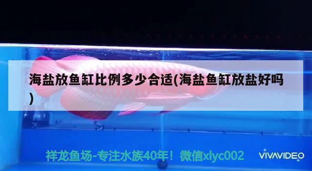 海鹽放魚(yú)缸比例多少合適(海鹽魚(yú)缸放鹽好嗎)