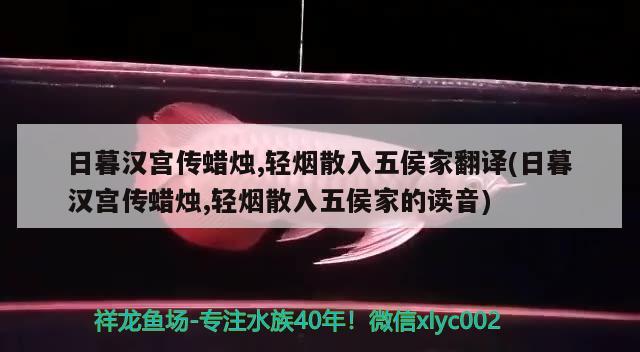 日暮漢宮傳蠟燭,輕煙散入五侯家翻譯(日暮漢宮傳蠟燭,輕煙散入五侯家的讀音) 觀賞魚