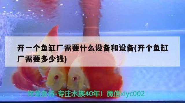 開一個魚缸廠需要什么設備和設備(開個魚缸廠需要多少錢)