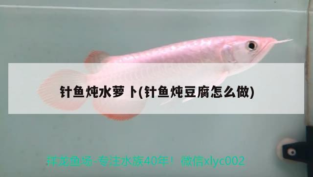 針魚燉水蘿卜(針魚燉豆腐怎么做)