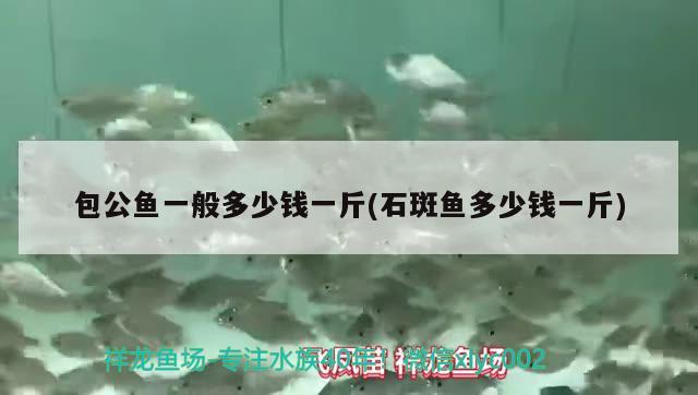 包公魚一般多少錢一斤(石斑魚多少錢一斤) 觀賞魚