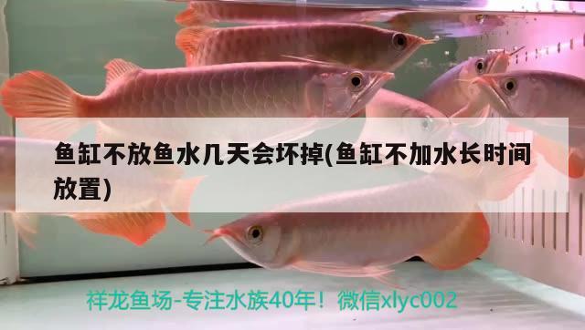 魚缸不放魚水幾天會壞掉(魚缸不加水長時間放置) 觀賞魚進出口