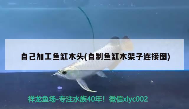 自己加工魚缸木頭(自制魚缸木架子連接圖) 雙線側(cè)魚