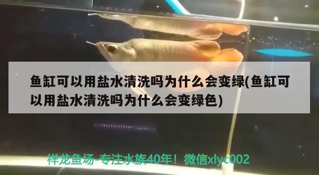 魚缸可以用鹽水清洗嗎為什么會變綠(魚缸可以用鹽水清洗嗎為什么會變綠色)