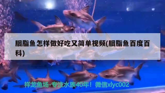 胭脂魚怎樣做好吃又簡單視頻(胭脂魚百度百科) 觀賞魚