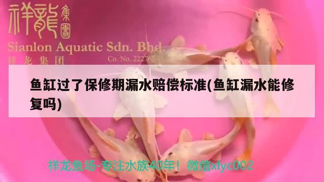 魚缸過了保修期漏水賠償標(biāo)準(zhǔn)(魚缸漏水能修復(fù)嗎)