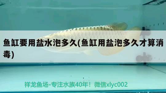 魚缸要用鹽水泡多久(魚缸用鹽泡多久才算消毒) 雙線側(cè)魚