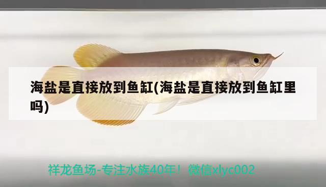 海鹽是直接放到魚缸(海鹽是直接放到魚缸里嗎)