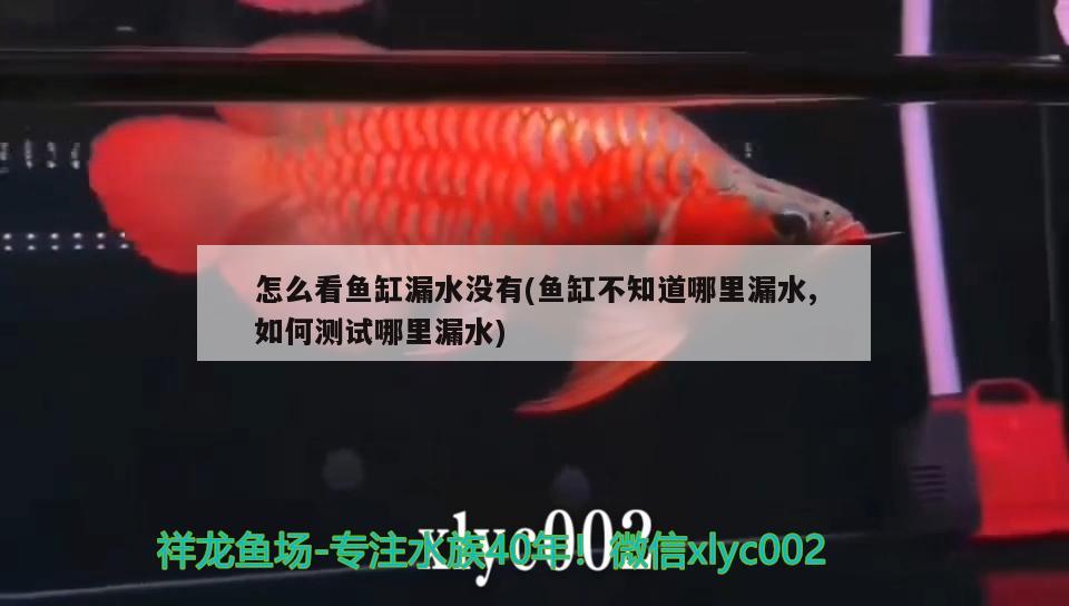 怎么看魚缸漏水沒(méi)有(魚缸不知道哪里漏水,如何測(cè)試哪里漏水)