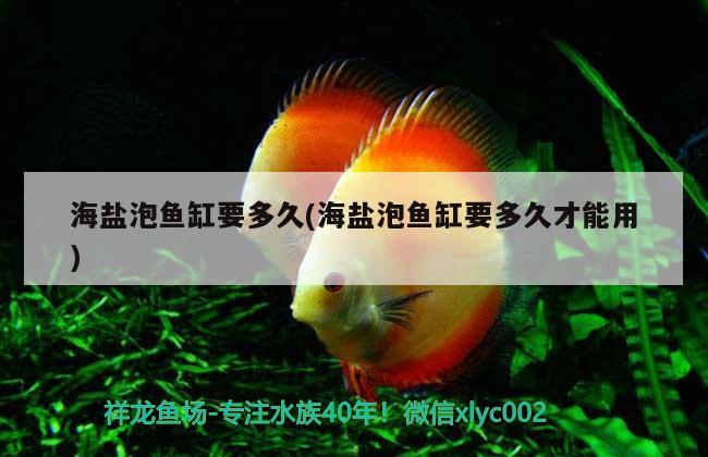 海鹽泡魚缸要多久(海鹽泡魚缸要多久才能用) 粗線銀版魚苗