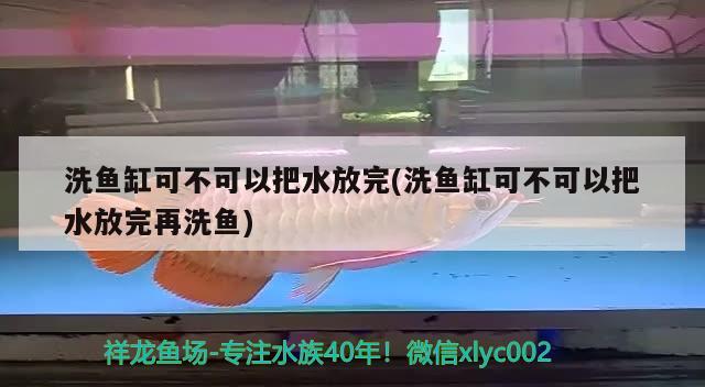 洗魚缸可不可以把水放完(洗魚缸可不可以把水放完再洗魚) 純血皇冠黑白魟魚