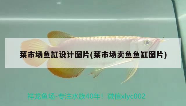 菜市場(chǎng)魚(yú)缸設(shè)計(jì)圖片(菜市場(chǎng)賣(mài)魚(yú)魚(yú)缸圖片) 進(jìn)口元寶鳳凰魚(yú)