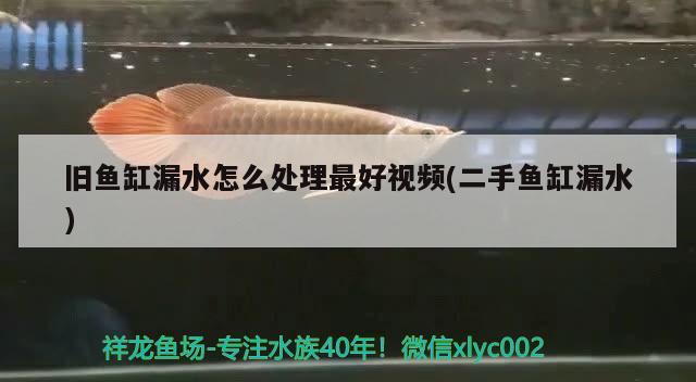 舊魚缸漏水怎么處理最好視頻(二手魚缸漏水)