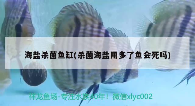 海鹽殺菌魚缸(殺菌海鹽用多了魚會(huì)死嗎) 喂食器