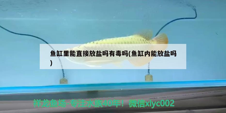 魚(yú)缸里能直接放鹽嗎有毒嗎(魚(yú)缸內(nèi)能放鹽嗎) B級(jí)過(guò)背金龍魚(yú)