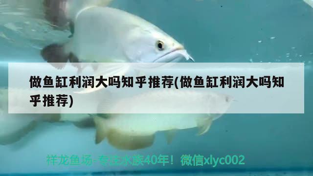 做魚(yú)缸利潤(rùn)大嗎知乎推薦(做魚(yú)缸利潤(rùn)大嗎知乎推薦) 青龍魚(yú)