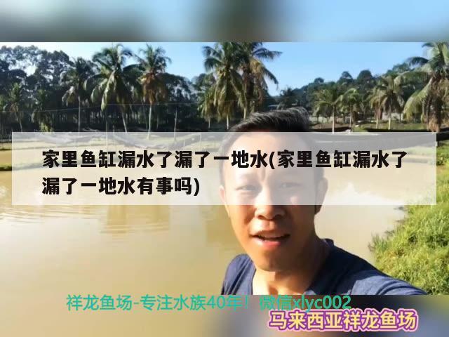 家里魚缸漏水了漏了一地水(家里魚缸漏水了漏了一地水有事嗎)