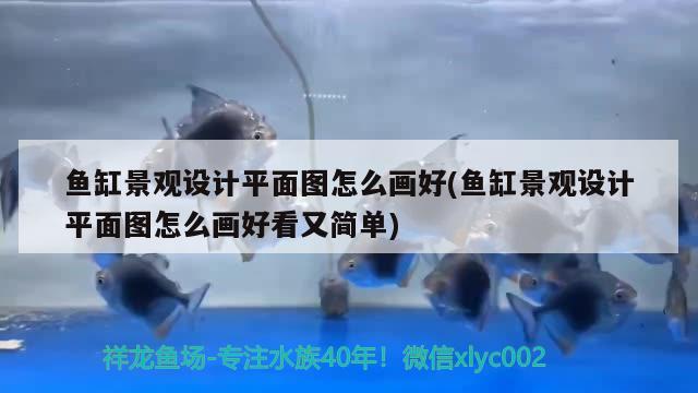 魚缸景觀設(shè)計平面圖怎么畫好(魚缸景觀設(shè)計平面圖怎么畫好看又簡單) 廣州景觀設(shè)計