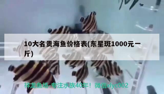 10大名貴海魚價格表(東星斑1000元一斤)