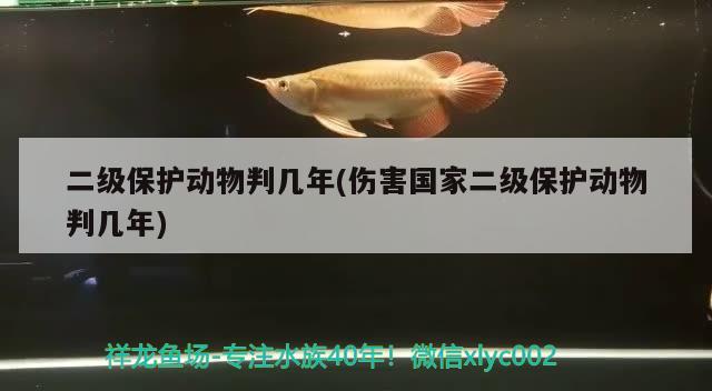 二級保護動物判幾年(傷害國家二級保護動物判幾年)