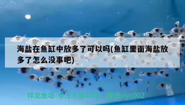 海鹽在魚缸中放多了可以嗎(魚缸里面海鹽放多了怎么沒事吧) 魚缸風(fēng)水