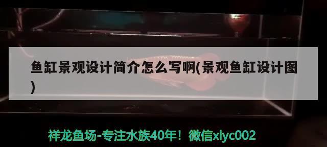 魚缸景觀設計簡介怎么寫啊(景觀魚缸設計圖) 廣州景觀設計