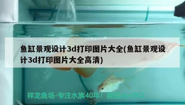 魚缸景觀設計3d打印圖片大全(魚缸景觀設計3d打印圖片大全高清) 廣州景觀設計