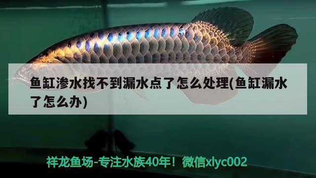 魚缸滲水找不到漏水點了怎么處理(魚缸漏水了怎么辦)