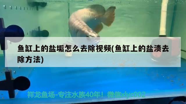 魚缸上的鹽垢怎么去除視頻(魚缸上的鹽漬去除方法)