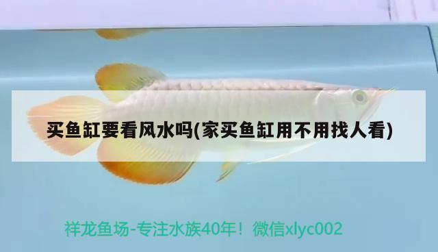 買魚缸要看風(fēng)水嗎(家買魚缸用不用找人看) 魚缸風(fēng)水