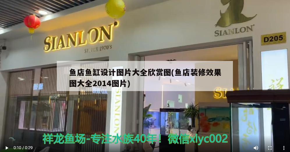 魚店魚缸設計圖片大全欣賞圖(魚店裝修效果圖大全2014圖片)