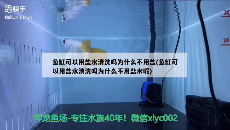 魚缸可以用鹽水清洗嗎為什么不用鹽(魚缸可以用鹽水清洗嗎為什么不用鹽水呢)