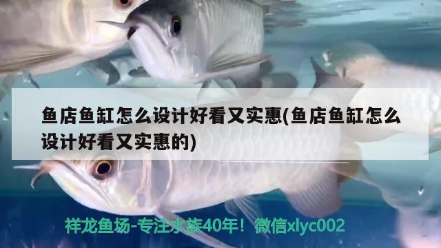 魚店魚缸怎么設計好看又實惠(魚店魚缸怎么設計好看又實惠的) 溫控設備