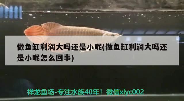 做魚缸利潤大嗎還是小呢(做魚缸利潤大嗎還是小呢怎么回事)