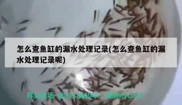 怎么查魚缸的漏水處理記錄(怎么查魚缸的漏水處理記錄呢)