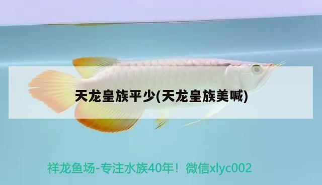 天龍皇族平少(天龍皇族美喊) 觀賞魚