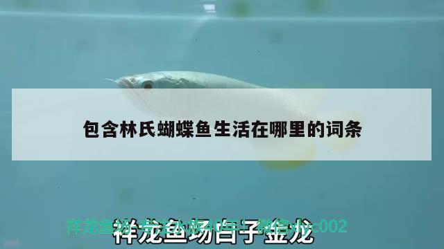 包含林氏蝴蝶魚生活在哪里的詞條