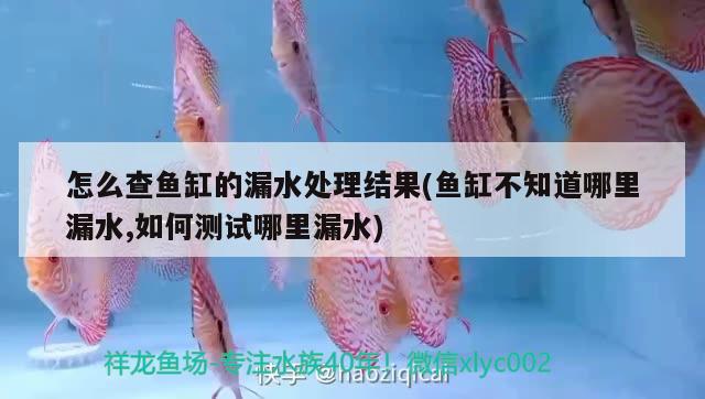 怎么查魚(yú)缸的漏水處理結(jié)果(魚(yú)缸不知道哪里漏水,如何測(cè)試哪里漏水) iwish愛(ài)唯希品牌魚(yú)缸