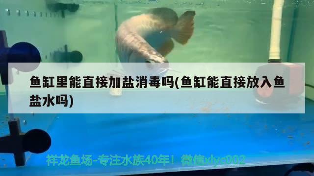 魚缸里能直接加鹽消毒嗎(魚缸能直接放入魚鹽水嗎) 刀魚魚