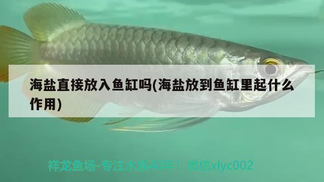 海鹽直接放入魚缸嗎(海鹽放到魚缸里起什么作用)