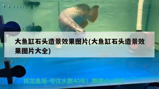 大魚缸石頭造景效果圖片(大魚缸石頭造景效果圖片大全) 名貴錦鯉魚