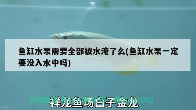 魚缸水泵需要全部被水淹了么(魚缸水泵一定要沒入水中嗎)