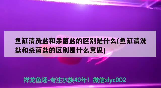 魚缸清洗鹽和殺菌鹽的區(qū)別是什么(魚缸清洗鹽和殺菌鹽的區(qū)別是什么意思)